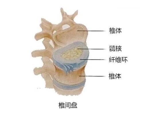 微创电动椎间盘旋切器