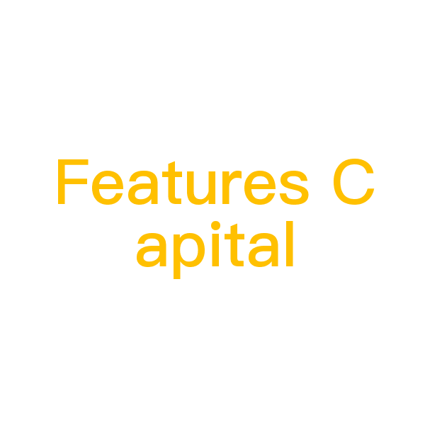 Features Capital