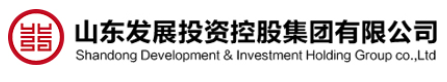 发展投资控股集团