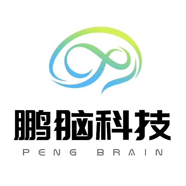 深圳鹏脑科技有限公司