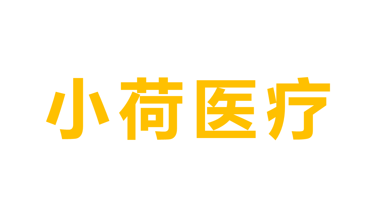 小荷医疗器械（海南）有限公司