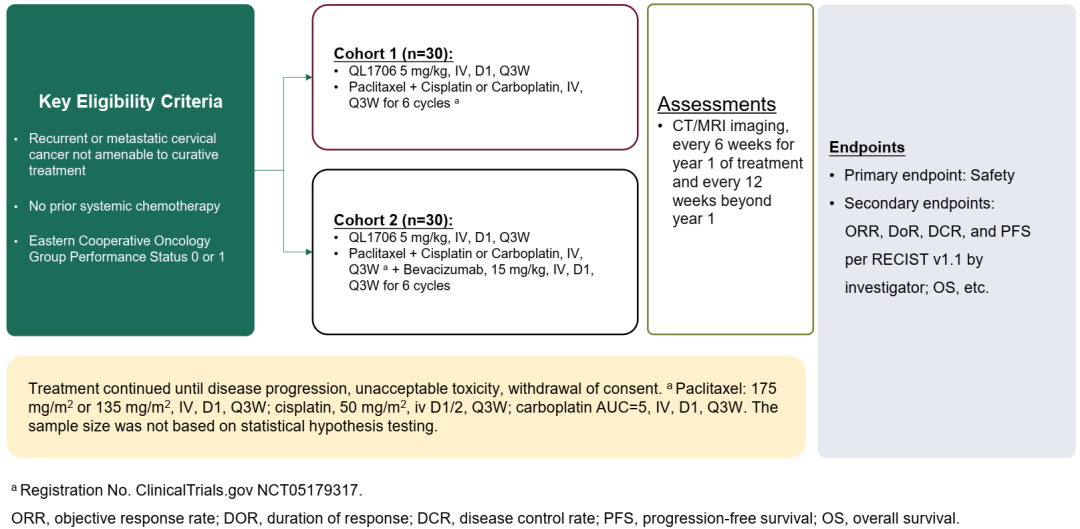 图2. DUBHE-C-204研究设计.png